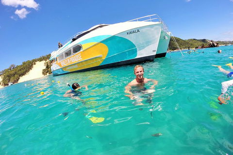 All Inclusive Dolphin And Tangalooma Wrecks Cruise - Accommodation 4U 0