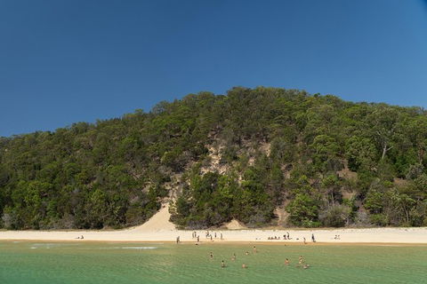 All Inclusive Dolphin And Tangalooma Wrecks Cruise - Accommodation 4U 4