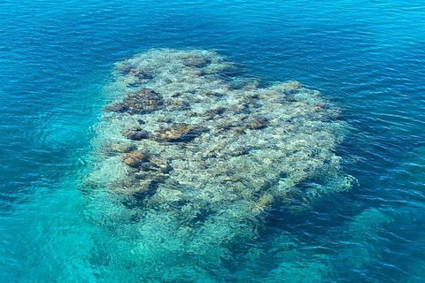 Lady Musgrave Day Trip From Bundaberg Including Snorkeling, Glass Bottom Tour And Guided Island Walk - Accommodation 4U 2