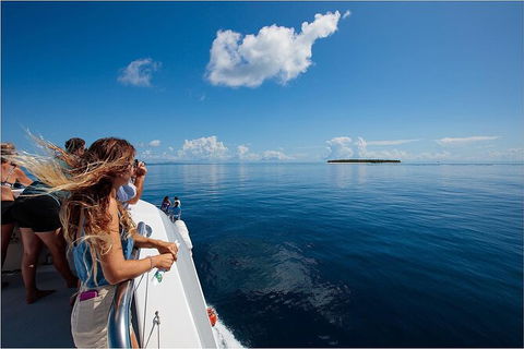 Lady Musgrave Day Trip From Bundaberg Including Snorkeling, Glass Bottom Tour And Guided Island Walk - Accommodation 4U 4