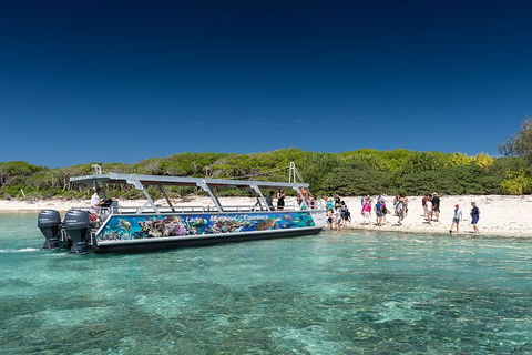 Lady Musgrave Day Trip From Bundaberg Including Snorkeling, Glass Bottom Tour And Guided Island Walk - Accommodation 4U 5