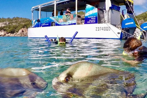 Aquascene Magnetic Island Discovery Tour - Accommodation 4U 4