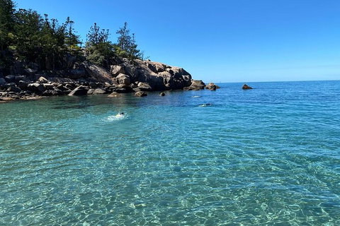 Aquascene Magnetic Island Discovery Tour - Accommodation 4U 9