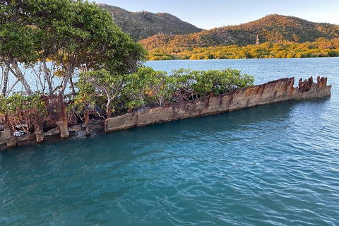 Aquascene Magnetic Island Discovery Tour - Accommodation 4U 1