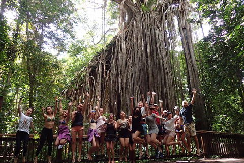 Atherton Tablelands Waterfalls Tour From Cairns - Accommodation 4U 8