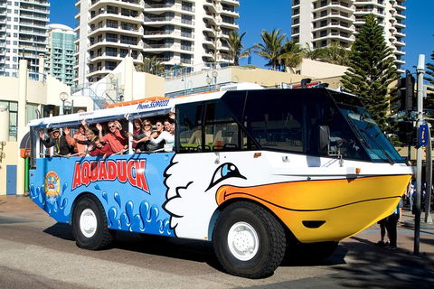 Aquaduck Gold Coast 1 Hour City And River Tour - Accommodation 4U 5