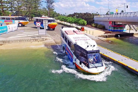 Aquaduck Gold Coast 1 Hour City And River Tour - Accommodation 4U 4
