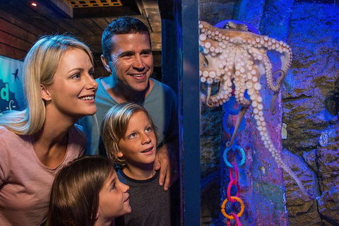 SEA LIFE Sunshine Coast Aquarium Entrance Ticket - Accommodation 4U 5