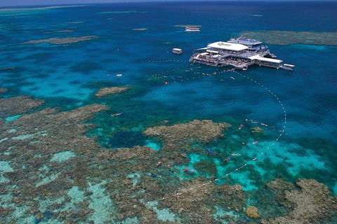Ultimate 3-Day Great Barrier Reef Cruise Pass - Accommodation 4U 2