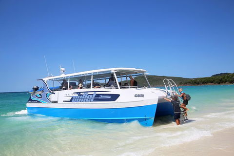 Whitsunday Bullet Day Trip - Whitehaven Beach And Snorkelling - Accommodation 4U 9