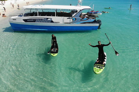 Whitsunday Bullet Day Trip - Whitehaven Beach And Snorkelling - Accommodation 4U 7