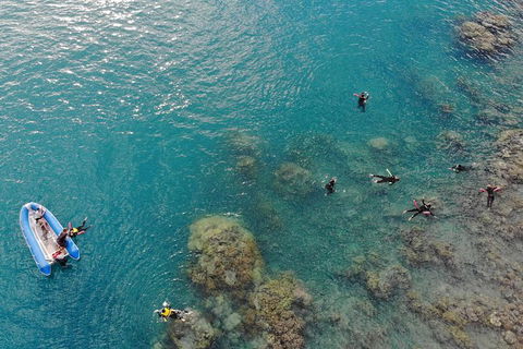 Whitsunday Bullet Day Trip - Whitehaven Beach And Snorkelling - Accommodation 4U 12