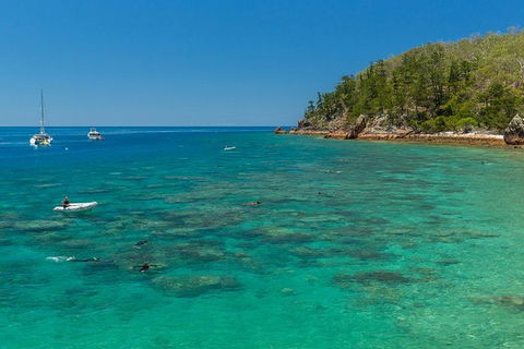 Whitsunday Bullet Day Trip - Whitehaven Beach And Snorkelling - Accommodation 4U 16