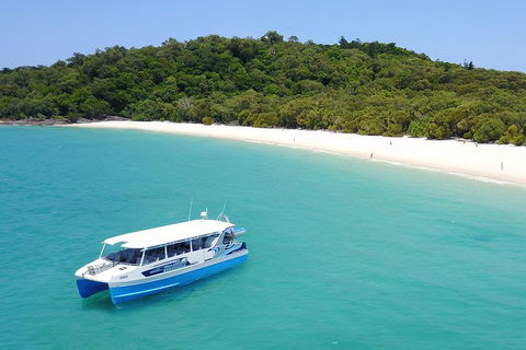 Whitsunday Bullet Day Trip - Whitehaven Beach And Snorkelling - Accommodation 4U 0