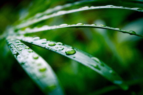 Local Photo Shoot - Accommodation 4U 3