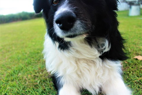 Local Photo Shoot - Accommodation 4U 0