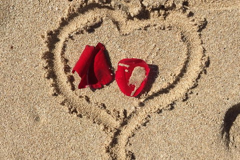 Elope In Paradise - Weddings At Mission Beach - Accommodation 4U 3