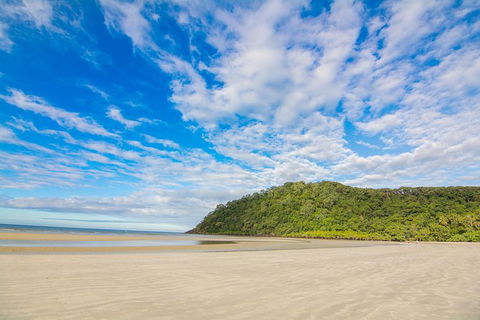 Daintree Afternoon Nocturnal Nature And Wildlife Tour - Accommodation 4U 8