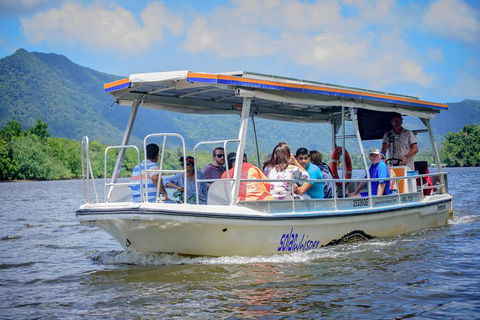 Daintree Afternoon Nocturnal Nature And Wildlife Tour - Accommodation 4U 6