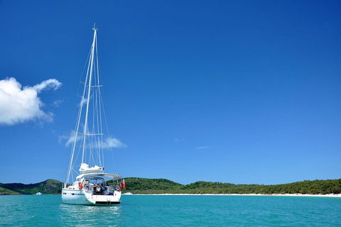 Sailing Curlew Escape On Moreton Bay - Accommodation 4U 0