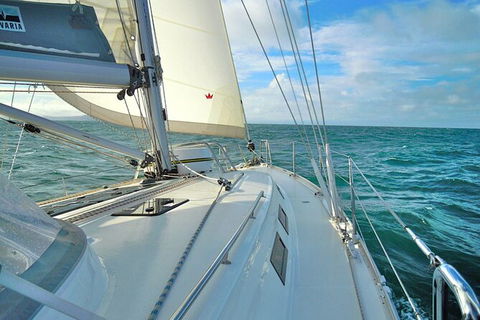 Sailing Curlew Escape On Moreton Bay - Accommodation 4U 7