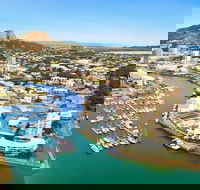 Explore Townsville 7 Hour Guided River Mountain and City Tour - Accommodation 4U