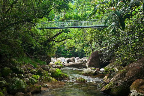 SHUTTLE - Mossman Gorge & Cooya Beach From Port Douglas (Return Transfer) - Accommodation 4U 4