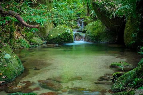 SHUTTLE - Mossman Gorge & Cooya Beach From Port Douglas (Return Transfer) - Accommodation 4U 2