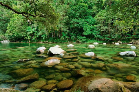 SHUTTLE - Mossman Gorge & Cooya Beach From Port Douglas (Return Transfer) - Accommodation 4U 3
