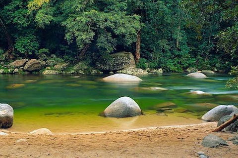 SHUTTLE - Mossman Gorge & Cooya Beach From Port Douglas (Return Transfer) - Accommodation 4U 1
