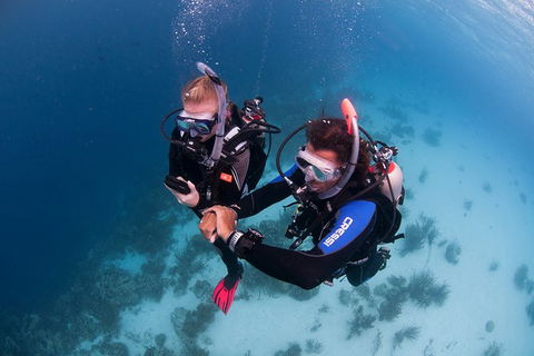 PADI Diving Courses On The Gold Coast - Accommodation 4U 5
