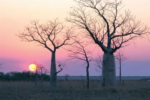 8-Day Outback Experience From Queensland - Accommodation 4U 0