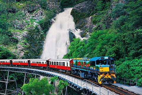 Day Tour To Kuranda, Rainforest And Port Douglas With Flight - Accommodation 4U 4