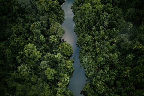 World Heritage Highlights: Reef/Daintree/Cape Tribulation - Accommodation 4U 10