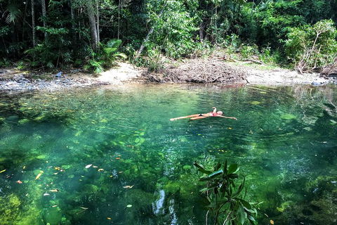 World Heritage Highlights: Reef/Daintree/Cape Tribulation - Accommodation 4U 4