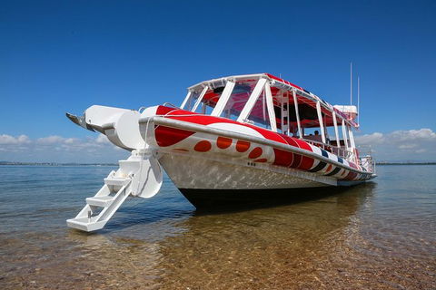 Half Day St. Helena Island Tour - Accommodation 4U 3