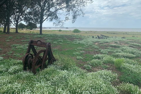 Half Day St. Helena Island Tour - Accommodation 4U 1