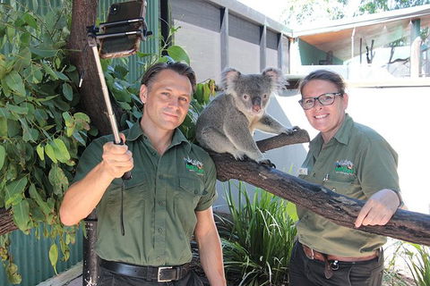 Virtual Interactive Australian Wildlife Tour With Private Guide-Wildlife Habitat - Accommodation 4U 4