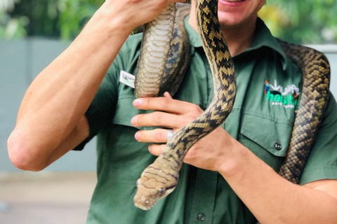 Virtual Interactive Australian Wildlife Tour With Private Guide-Wildlife Habitat - Accommodation 4U 3