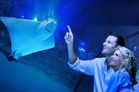 Cairns Aquarium Tour By Twilight With Drink And Appetiser - Accommodation 4U 0