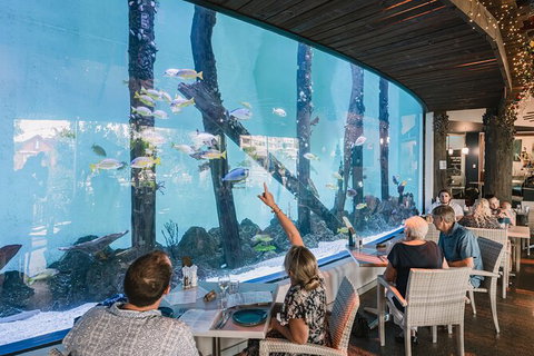 Cairns Aquarium Tour By Twilight With Drink And Appetiser - Accommodation 4U 1
