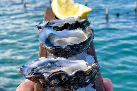 Coffin Bay Oysters, Ocean & Nature Tour - Accommodation 4U 0
