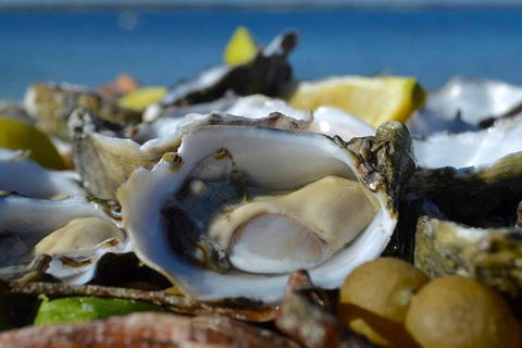 Coffin Bay Oysters, Ocean & Nature Tour - Accommodation 4U 8