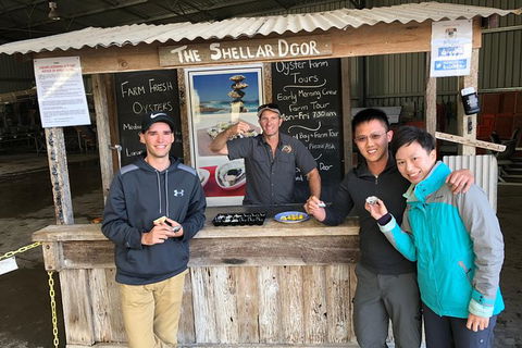 Coffin Bay Oysters, Ocean & Nature Tour - Accommodation 4U 13