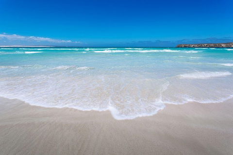 Coffin Bay Oysters, Ocean & Nature Tour - Accommodation 4U 14