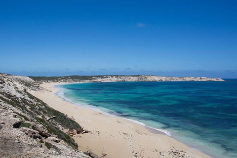 Coffin Bay Oysters, Ocean & Nature Tour - Accommodation 4U 16
