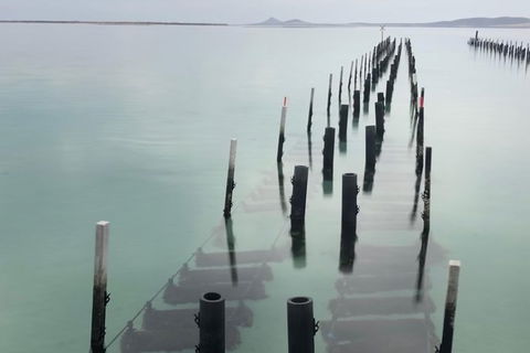 Coffin Bay Oysters, Ocean & Nature Tour - Accommodation 4U 15
