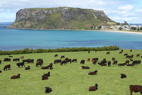 Cruise Ship Excursion: Stanley - Accommodation 4U 0