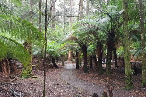 Cruise Ship Excursion: Stanley - Accommodation 4U 5