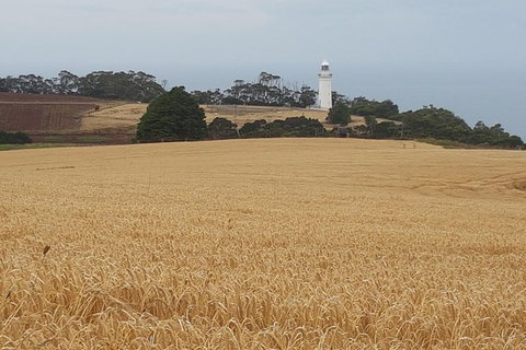 Cruise Ship Excursion: Stanley - Accommodation 4U 16